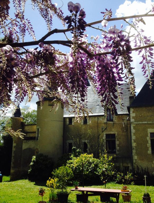 Chateau St.Gaultier Saint-Gaultier Ngoại thất bức ảnh